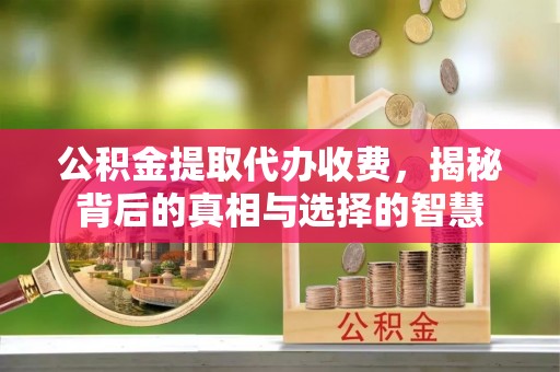 河南公积金提取代办收费，揭秘背后的真相与选择的智慧