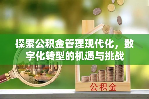 河南探索公积金管理现代化，数字化转型的机遇与挑战