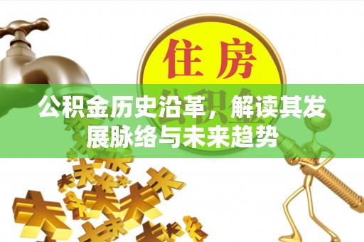 河南公积金历史沿革，解读其发展脉络与未来趋势