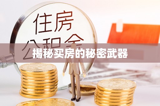 河南揭秘买房的秘密武器