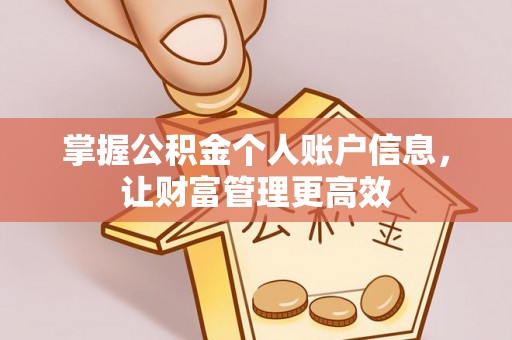 河南掌握公积金个人账户信息，让财富管理更高效