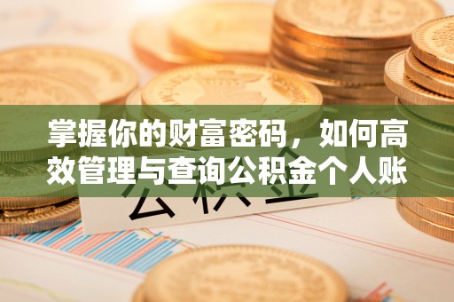 河南掌握你的财富密码，如何高效管理与查询公积金个人账户信息