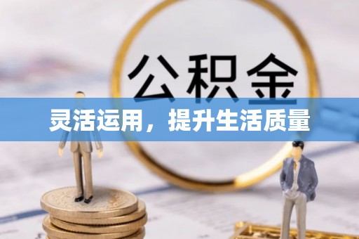 河南灵活运用，提升生活质量