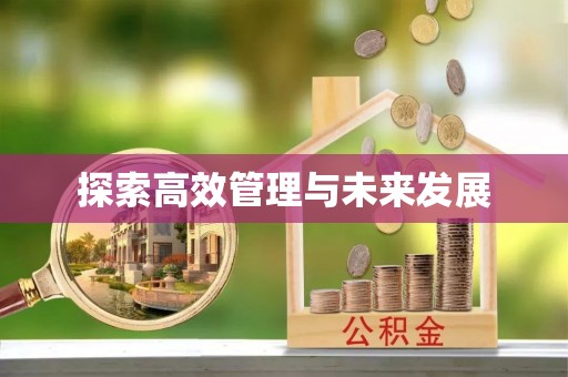 河南探索高效管理与未来发展