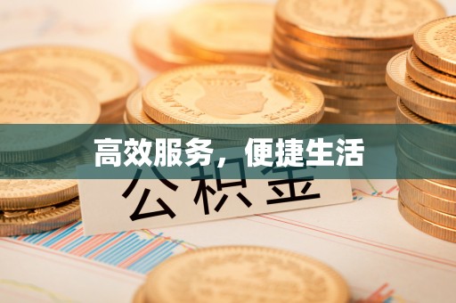 河南高效服务，便捷生活