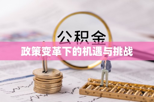 河南政策变革下的机遇与挑战