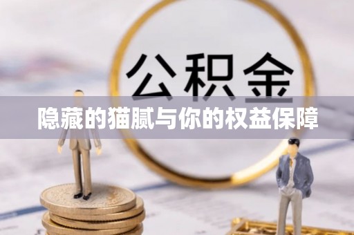 河南隐藏的猫腻与你的权益保障