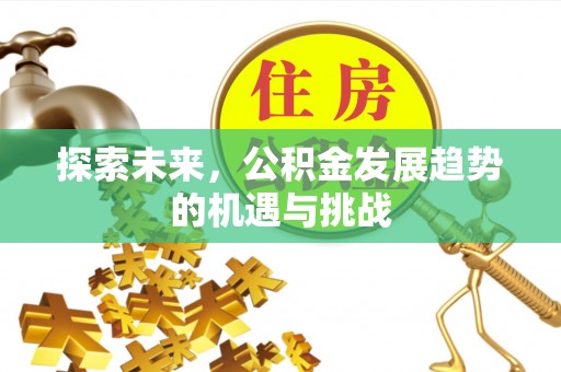 河南探索未来，公积金发展趋势的机遇与挑战