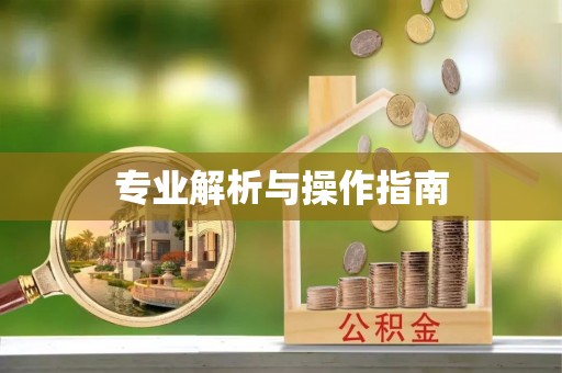 河南专业解析与操作指南