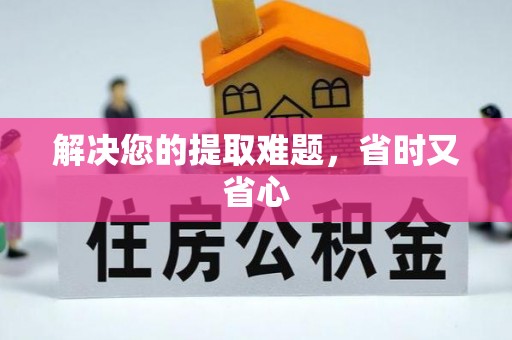 河南解决您的提取难题，省时又省心