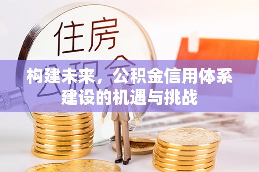 河南构建未来，公积金信用体系建设的机遇与挑战
