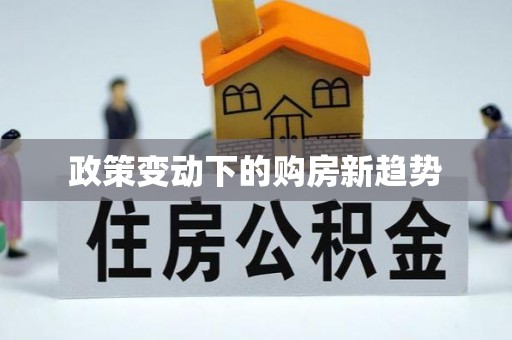 河南政策变动下的购房新趋势