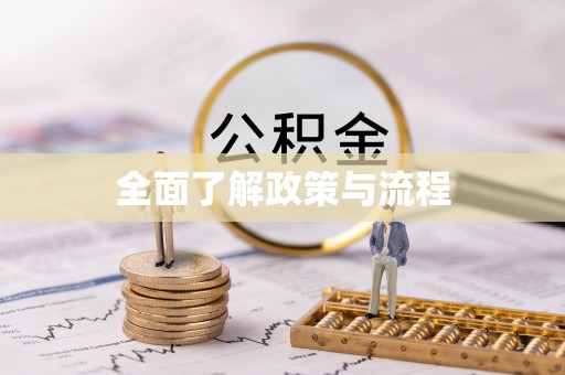河南全面了解政策与流程