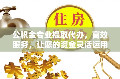 河南公积金专业提取代办，高效服务，让您的资金灵活运用