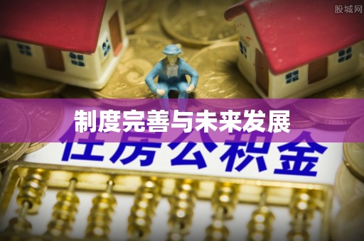 河南制度完善与未来发展