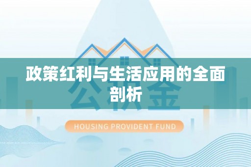 河南政策红利与生活应用的全面剖析
