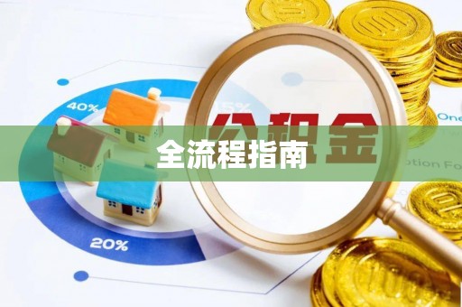 河南全流程指南