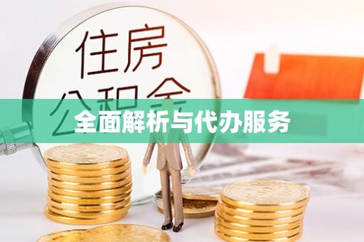 河南全面解析与代办服务