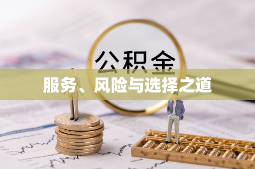 河南服务、风险与选择之道