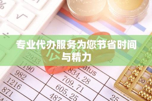 河南专业代办服务为您节省时间与精力