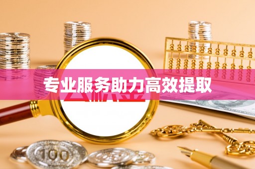 河南专业服务助力高效提取