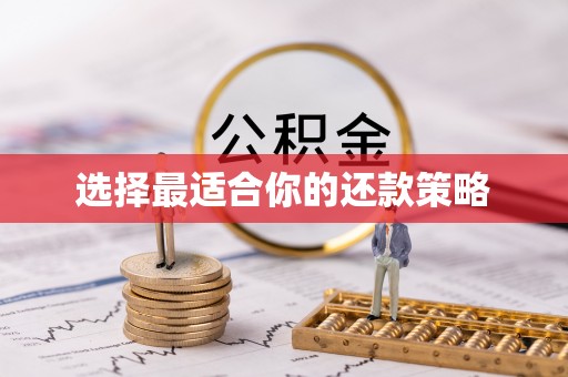 河南选择最适合你的还款策略