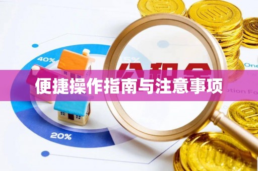 河南便捷操作指南与注意事项